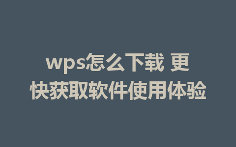 wps怎么下载 更快获取软件使用体验